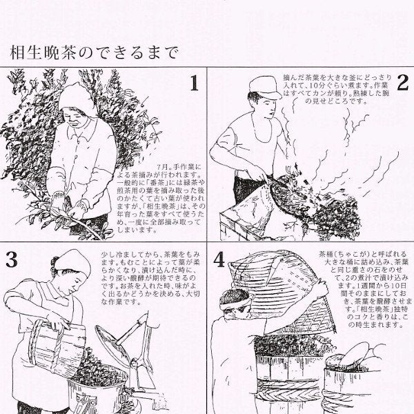 【第2便ご予約受付】2025年新茶200g|徳島・那賀町産 阿波晩茶(伝統後発酵茶) ※2025年9月上旬~9月下旬発送予定 - NAKATOWN