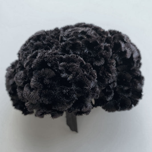 花材 プリザーブドフラワー ケイトウ メタルブラック