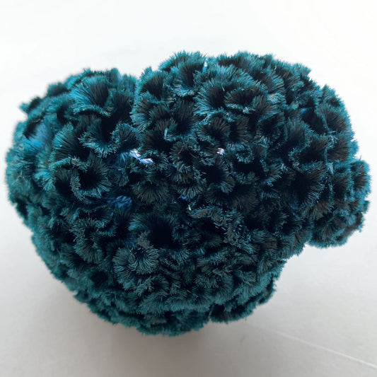 花材 プリザーブドフラワー ケイトウ ピーコックブルー