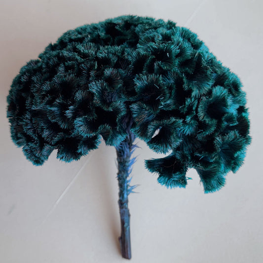 花材 プリザーブドフラワー ケイトウ ピーコックブルー