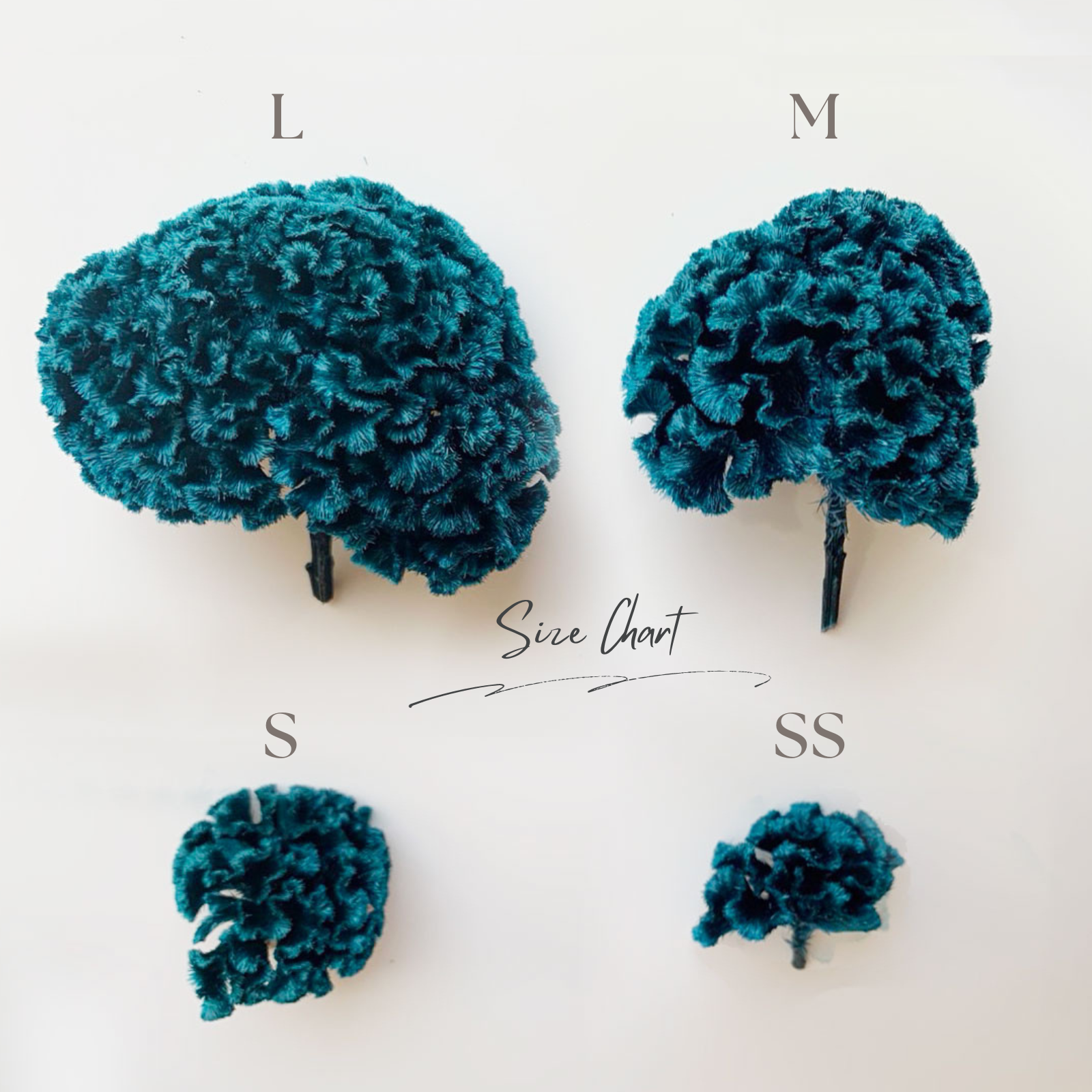 鶏頭(けいとう)の廃棄花(フラワーロス)をアップサイクルした 鶏頭(けいとう)の廃棄花(フラワーロス)をアップサイクルした