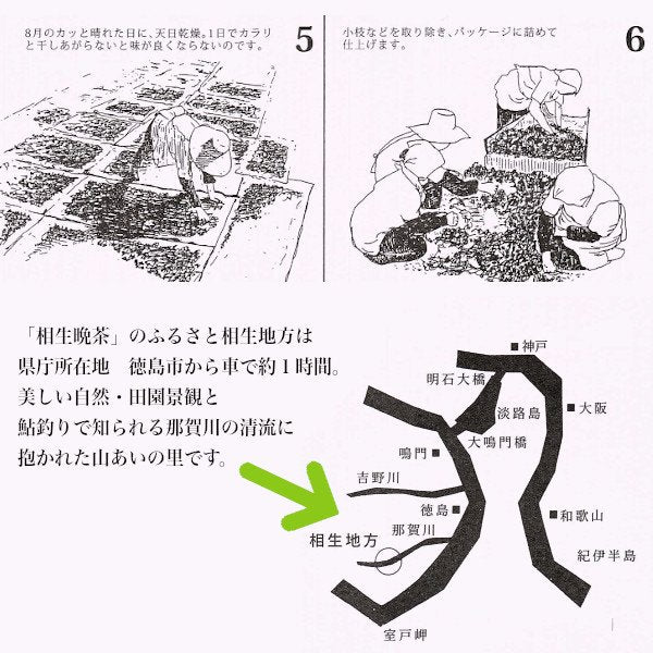 徳島県那賀町の特産品相生晩茶。ケイトウの花も有名です。